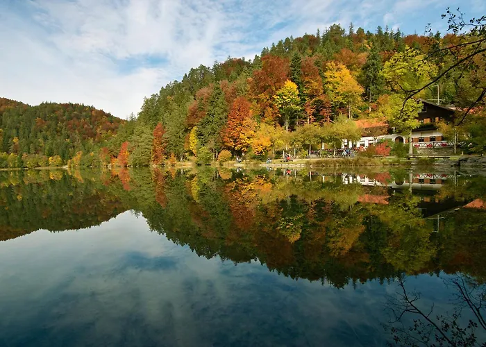 酒店 阿拉特湖餐厅酒店 福森