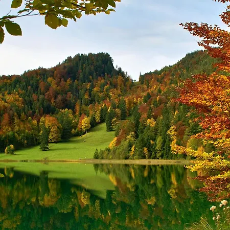Restaurant Alatsee