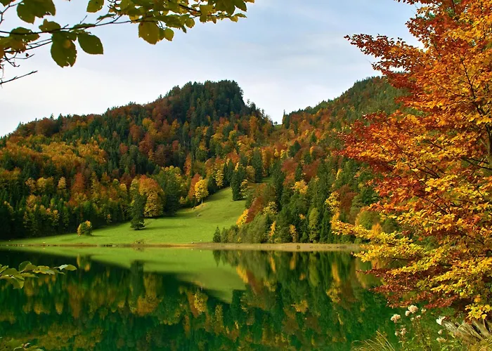 Restaurant Alatsee